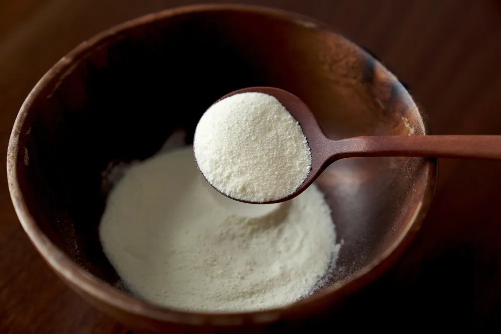 Whey Powder